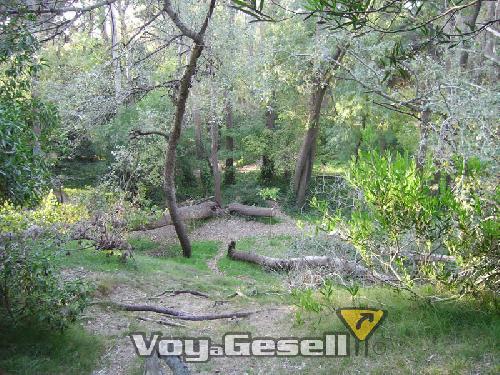 Villa Gesell - Colonia Marina - Mar de las Pampas - Las Gaviotas - Mar Azul