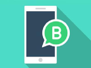 Alertas por WhatsApp