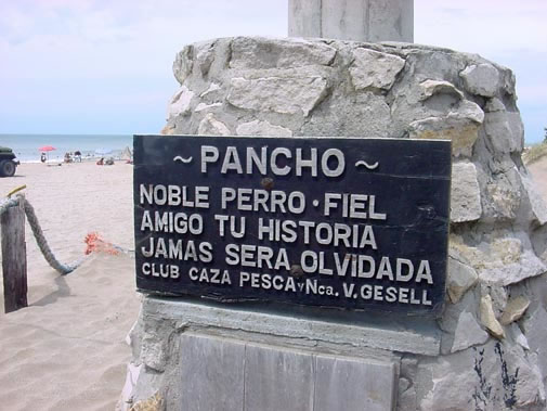 A11a La nobleza de un canino “Pancho”