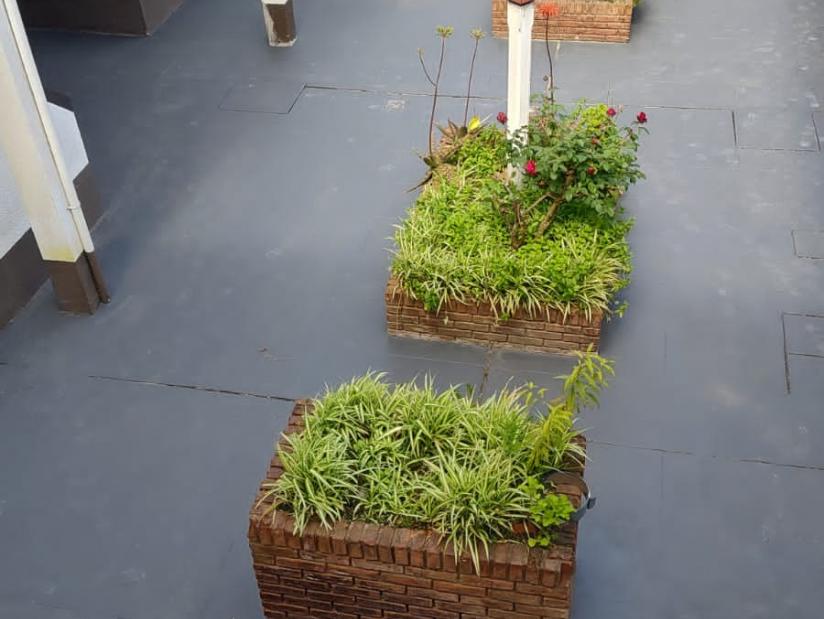 Alquilo Departamentos Complejo Lila en Villa Gesell zona  