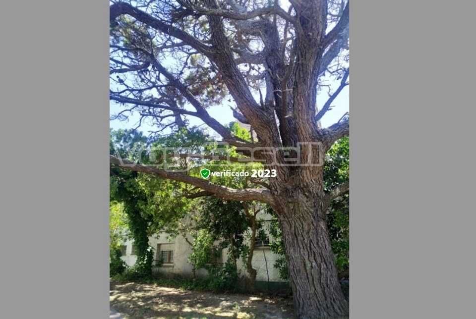 Alquilo Hostería Zodiaco en Villa Gesell zona  a 200 mts de la Playa