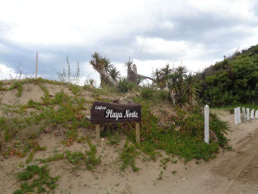Alquilo Departamento Playa Norte en Villa Gesell zona Barrio Norte a 20 mts de la Playa