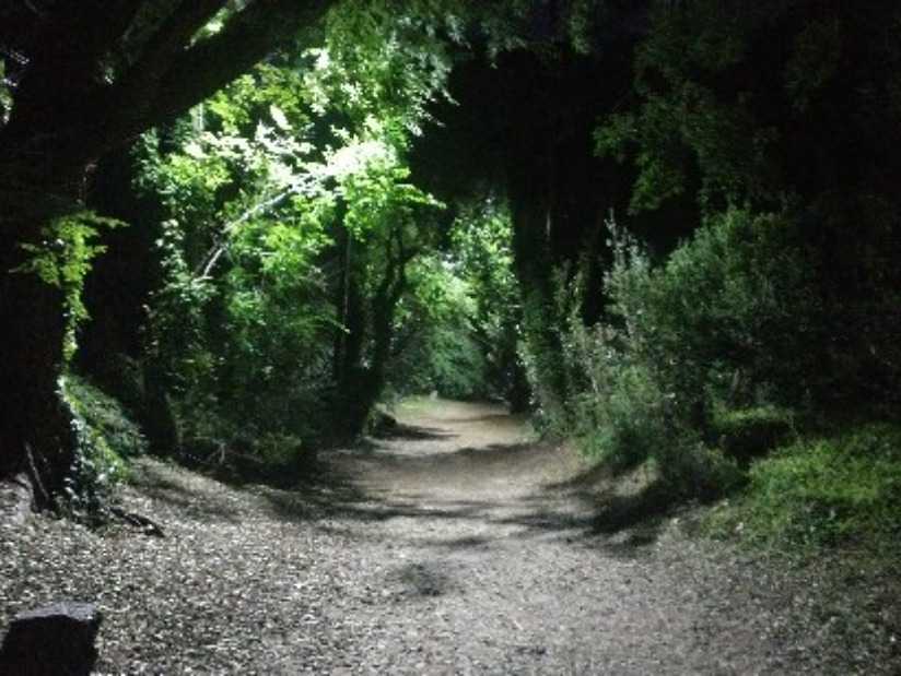 Alquilo Departamento Playa Norte en Villa Gesell zona Barrio Norte a 20 mts de la Playa