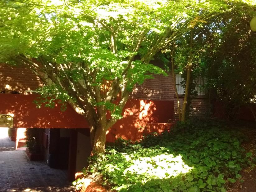 Alquilo Duplex Dulces Vacaciones en Villa Gesell zona Centro a 700 Mts de la Playa Vista de duplex especiales 