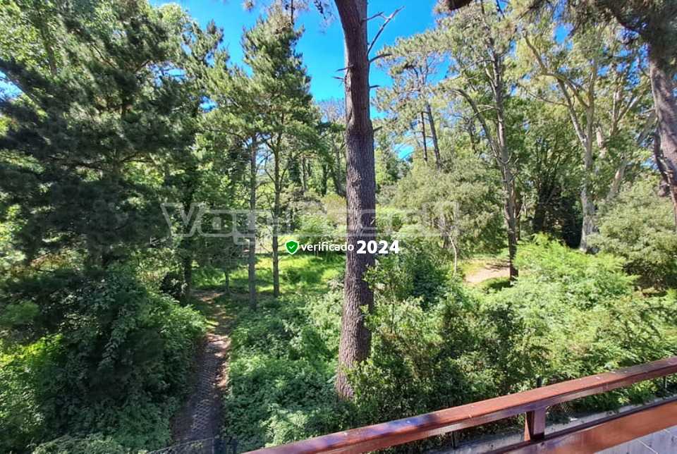 Alquilo Departamento Edificio Barrio Norte 11 en Villa Gesell zona Barrio Norte a 600 Mts de la Playa