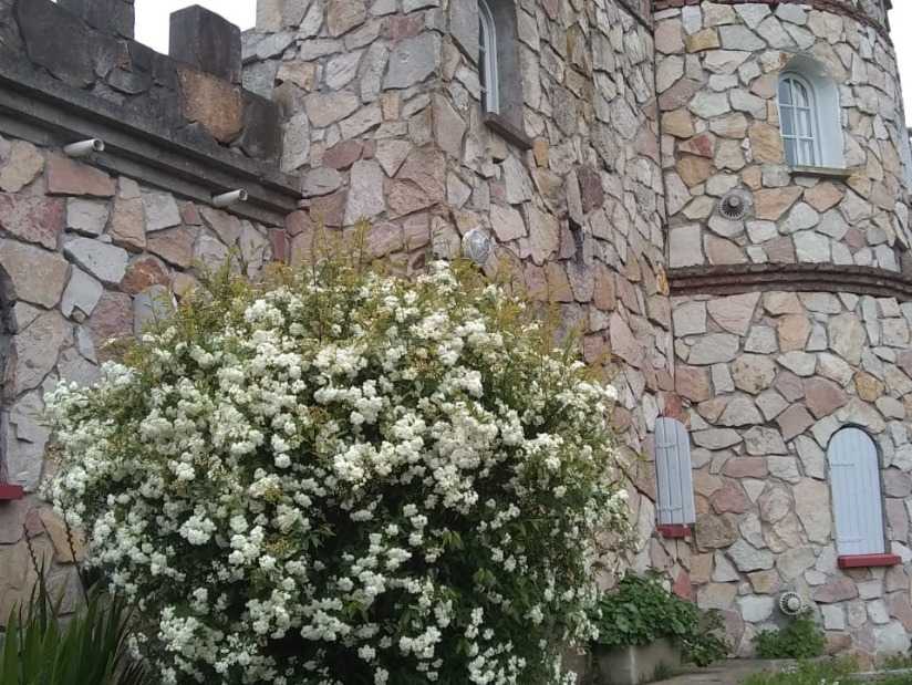 Alquilo Casa El Castillito en Villa Gesell zona Centro a 600 Mts de la Playa