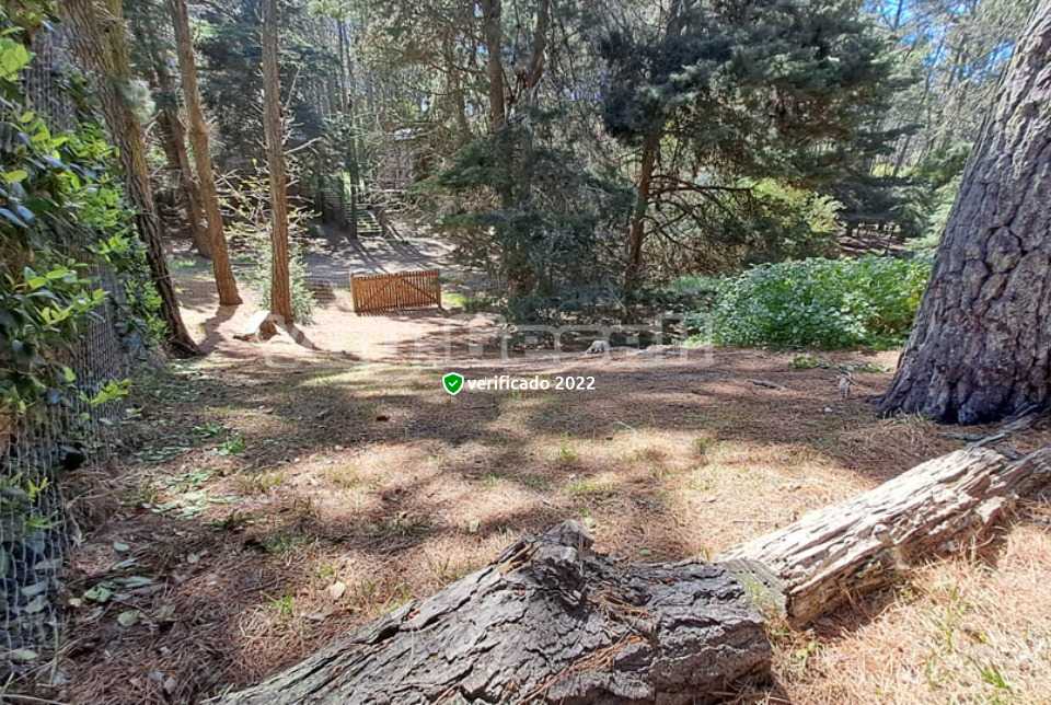 Alquilo Cabaña Lobi en Mar de las Pampas zona  a 550 Mts de la Playa Ingreso por la calle de atras