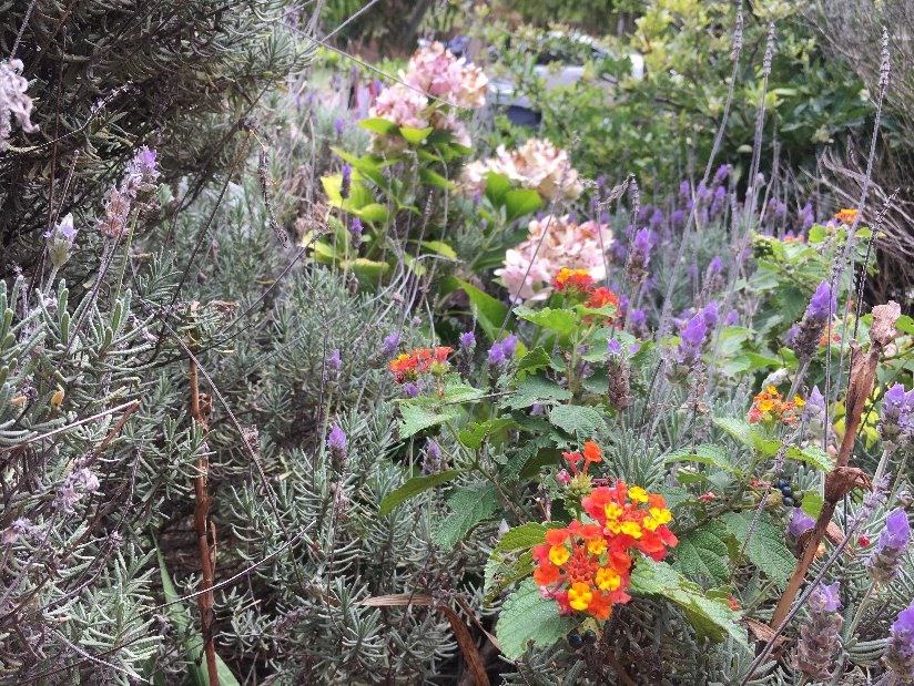 Alquilo Cabaña Villa Olimpia en Villa Gesell zona Barrio Norte a 80 Mts de la Playa 