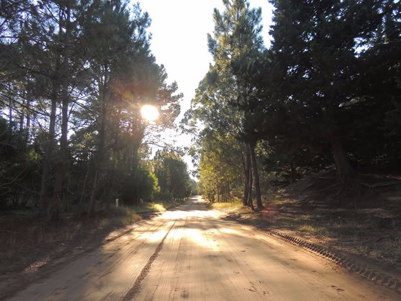 Atractivo Turistico Reserva Forestal Mar de las Pampas en Mar de las Pampas zona 