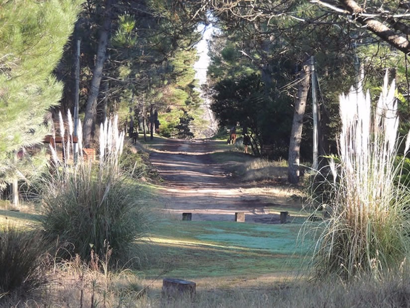 Atractivo Turistico Reserva Forestal Mar de las Pampas en Mar de las Pampas zona 
