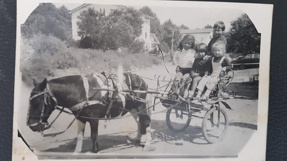 Historia de Villa Gesell