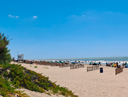 Diciembre y Fin de Año 2025